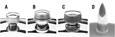 SO-CAL Air Filter Knobs